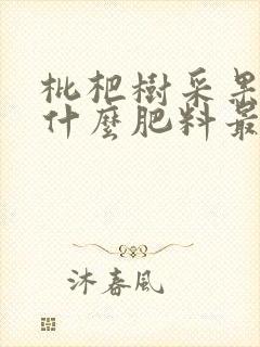 枇杷树采果后施什么肥料最好