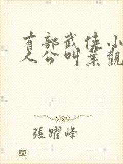有部武侠小说主人公叫叶观的小说
