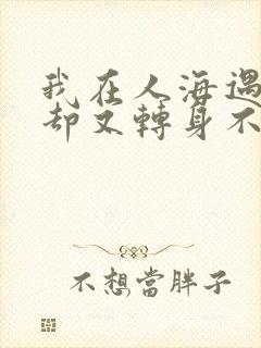我在人海遇见你却又转身不见你是什么歌