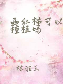 西红柿可以重茬种植吗
