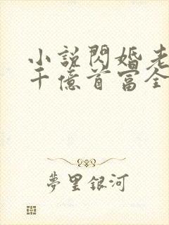 小说闪婚老公是千亿首富全文