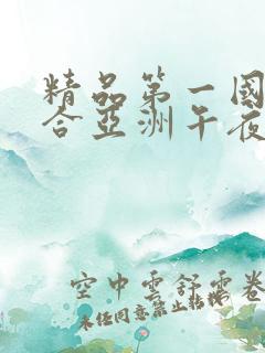 精品第一国产综合亚洲午夜