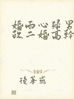 婚雨心归男主从政二婚高干文