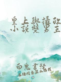 皇上与摄政王的小说双男主