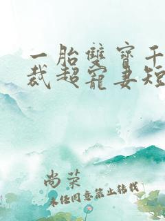 一胎双宝千亿总裁超宠妻短剧