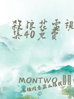 杀狼花电视剧全集40免费