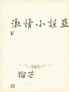 激情小说亚洲av 激情小说亚洲av