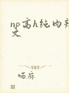 np高h纯肉辣文