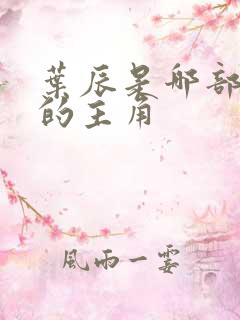叶辰是哪部小说的主角