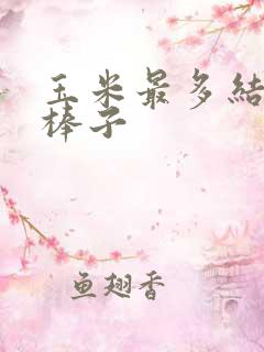 玉米最多结几个棒子