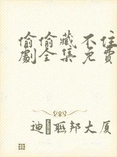 偷偷藏不住电视剧全集免费收看
