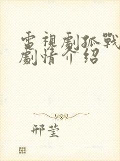 电视剧孤战迷城剧情介绍