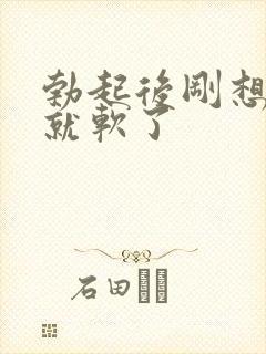 勃起后刚想插入就软了