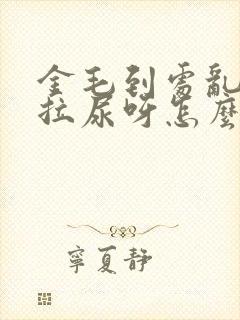 金毛到处乱拉屎拉尿呀怎么办呀