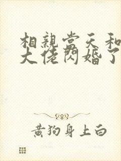 相亲当天和豪门大佬闪婚了观看