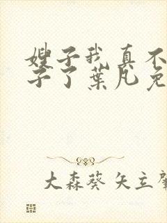 嫂子我真不是傻子了叶凡免费阅读全文小说