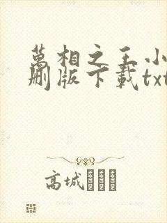 万相之王小说未删版下载txt