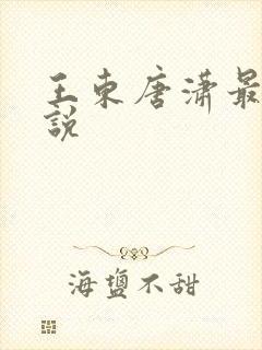 王东唐潇最新小说