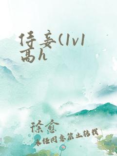 侍妾(1v1 高h