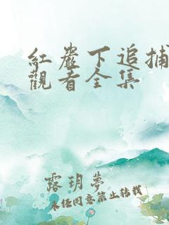 红岩下追捕免费观看全集