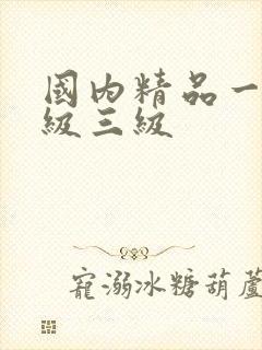 国内精品一级二级三级