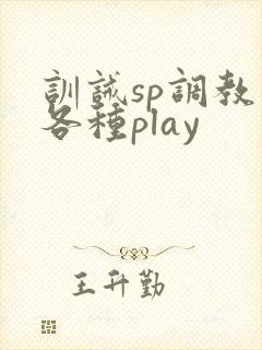 训诫sp调教文各种play