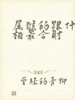 属猴的跟什么属相最合财