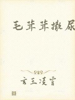 毛茸茸撒尿大b