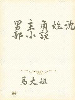男主角姓沈的全部小说