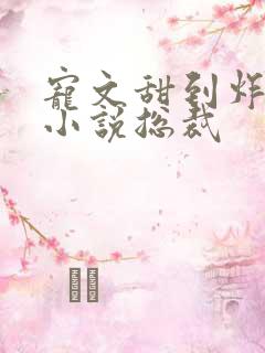 宠文甜到炸无虐小说总裁
