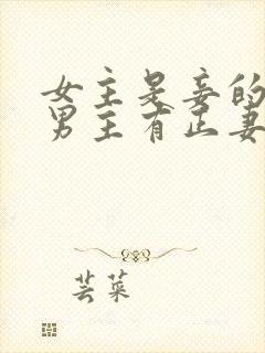 女主是妾的虐文男主有正妻