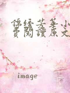 锦绣芳华小说免费阅读原文