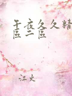 午夜久久精品一区二区