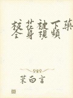 校花被下药摸光全身视频