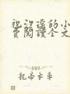 祝汐瑶的小说免费阅读全文
