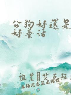 公狗好还是母狗好养活 公狗好还是母狗好养活