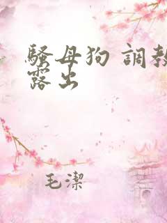 骚母狗 调教 露出