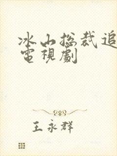 冰山总裁追妻路电视剧