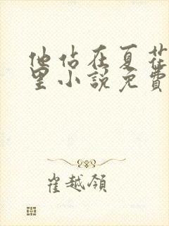他站在夏花绚烂里小说免费在线阅读