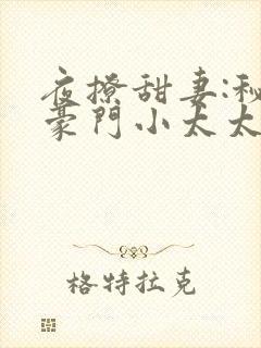 夜撩甜妻:秘爱豪门小太太小说
