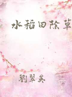 水稻田除草剂