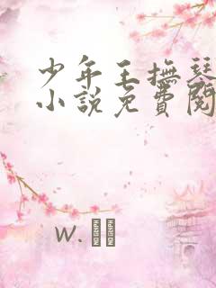 少年王抚琴的人小说免费阅读全文作者