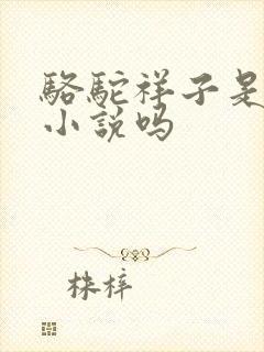 骆驼祥子是京味小说吗