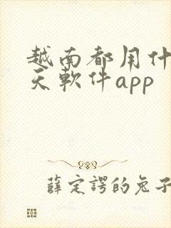 越南都用什么聊天软件app