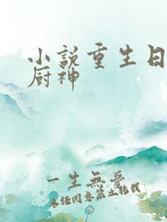 小说重生日本当厨神