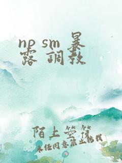 np sm 暴露 调教