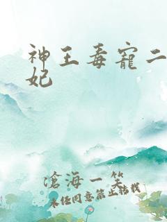 神王毒宠二嫁王妃