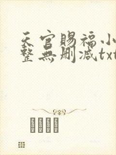 天官赐福小说完整无删减txt
