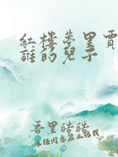 红楼梦里贾蓉是谁的儿子