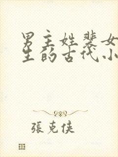 男主姓裴女主重生的古代小说
